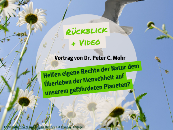 Eine Möwe im Flug, die die Weite des Himmels symbolisiert. Foto: Katharina N. und Frauke Riether auf Pixabay, Kollage.