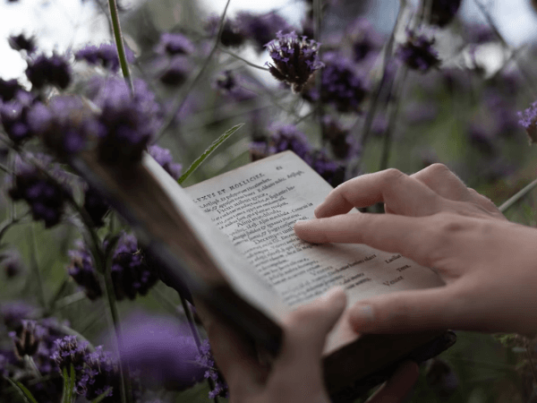Bild zeigt ein Buch, das inmitten einer lila blühenden Wiese liegt. Es visualisiert, dass Sprache Wirklichkeiten schafft und unser Verhältnis zur Mitwelt gestaltet, zentraler Gedanke des Artikels. Foto: Rapha Wilde, Unsplash