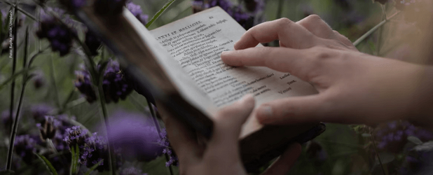 Bild zeigt ein offenes Buch in einer Blumenwiese mit lila Blüten. Symbolisch steht es für die Macht der Worte, die unsere Wahrnehmung der Natur und Mitwelt prägen, wie im Artikel beschrieben. Foto: Rapha Wilde, Unsplash