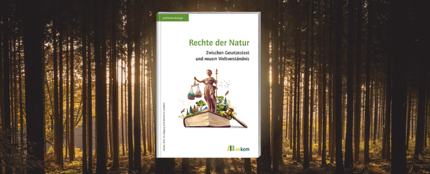 er politischen ökologie „Rechte der Natur – Zwischen Gesetzestext und neuem Weltverständnis (Band 182)“ liegt über einem Wald in stimmungsvoller Morgenbeleuchtung