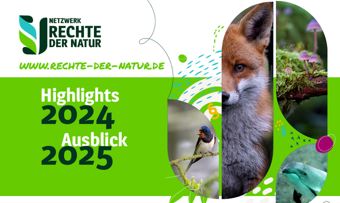 Rechte der Natur: Rückblick 2024 und Ausblick auf ein wegweisendes Jahr 2025