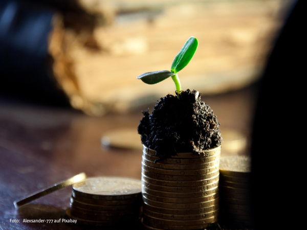 Symbolbild zur Diskussion über das Nature Capital Project: Erde, Geldmünzen und eine Pflanze, die auf einem Geldberg wächst
