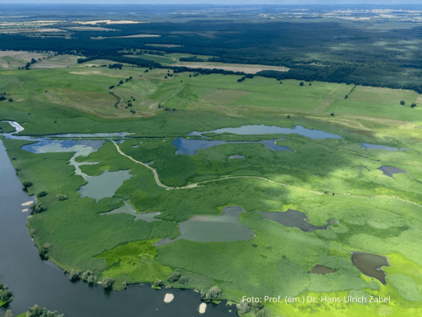 Flusslandschaft mit artenreichen Auen und Mooren, Beispiel für eigenständige Natur mit eigenem Wert. Foto: Prof. (em.) Dr. Hans-Ulrich Zabel