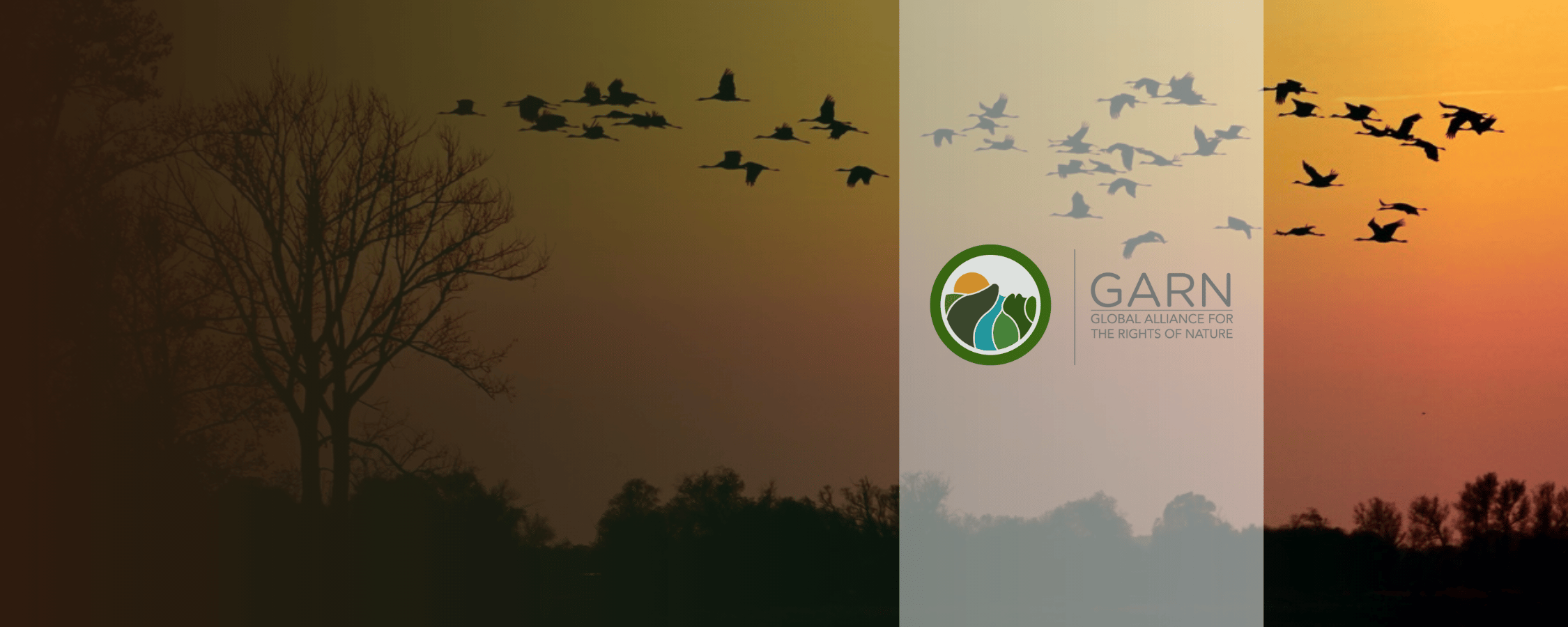 Mehrere Vögel fliegen im Sonnenuntergang – ein kraftvolles Sinnbild für kollektives Handeln, ökologische Verbundenheit und den weltweiten Einsatz von GARN für die Anerkennung der Rechte der Natur. Foto: Prof. (em.) Dr. Hans-Ulrich Zabel, Netzwerk Naturfot