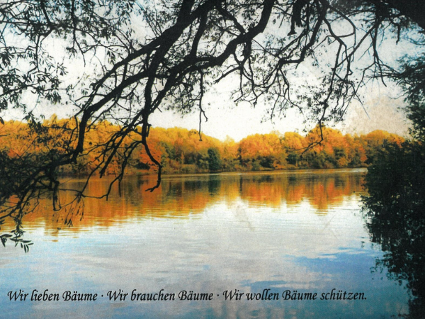 Seespiegelung, Wasser, Herbststimmung. Wir lieben Bäume. Wir brauchen Bäume. Wir wollen Bäume schützen.