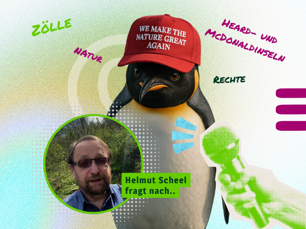 Pinguin mit roter Kappe „We make nature great again“ im Interview mit Helmut Scheel zum Weltpinguintag und zu Trumps Zollpolitik
