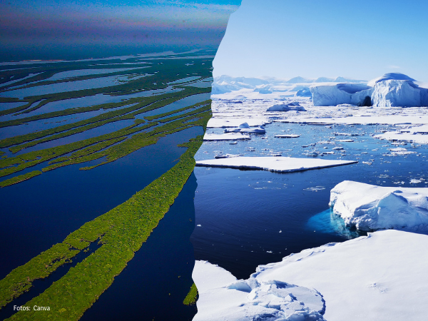 Einsatz für Amazonas und Antarktis: GARN kämpft auf der COP 16 für die Rechte der Natur