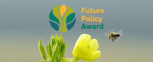 World Future Policy Award 2025: Rechte der Natur im Mittelpunkt Globale Anerkennung der Rechte der Natur beim WFPA 2025 Bild: Foto: Jaesung An, Pixabay