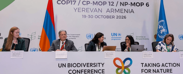 Callie Veelenturf, Juan Carlos Navarro, Xiomara Acevedo, Jocabed Solano und Natalia Greene bei der Pressekonferenz zur Rechte-der-Natur-Koalition.
