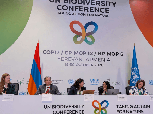 Pressekonferenz auf der COP17 mit Callie Veelenturf, Juan Carlos Navarro, Xiomara Acevedo, Jocabed Solano und Natalia Greene, von links nach rechts.