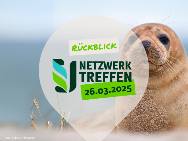 Bild mit einer Robbe im Hintergrund, sinnbildlich für die Musterklage, die auch als Robben-Klage bekannt ist und für die Task-Force steht.