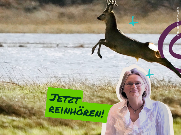 Auf einer grünen Wiesenlichtung springt ein Reh frei umher. Rechts ist der Schriftzug „Karina Radio Jade Interview Karina Czupor – Jetzt reinhören“ zu sehen. Foto: Hans-Ulrich Zabel. Einladung zum Zuhören.