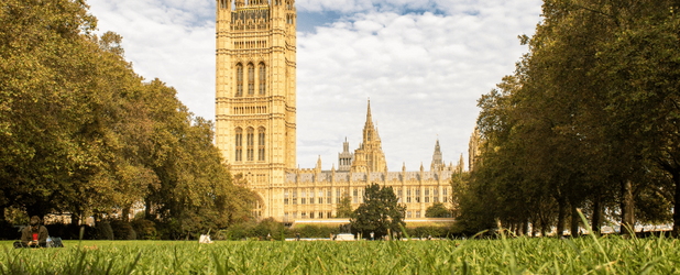 Britisches Oberhaus während der Debatte über den Nature's Rights Bill zur Anerkennung der Rechte der Natur und eines neuen Umweltrechts. Foto: Sebastian Sollfrank, pexels