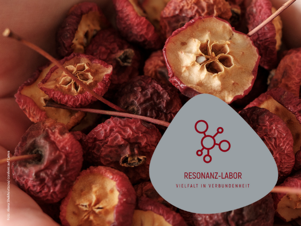 Hintergrund: vertrocknete Äpfel, Anlehnung an das Originalbild des Artikels. Logo des Resonanz-Labors mit Claim „Vielfalt in Verbundenheit“, rote Schrift auf grauem Hintergrund. Foto: Alena Shekhovtsova / corelens auf Canva.