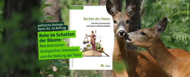 Waldlandschaft mit Rehen, die Rechtssubjekte im Rahmen der Rechte der Natur darstellen