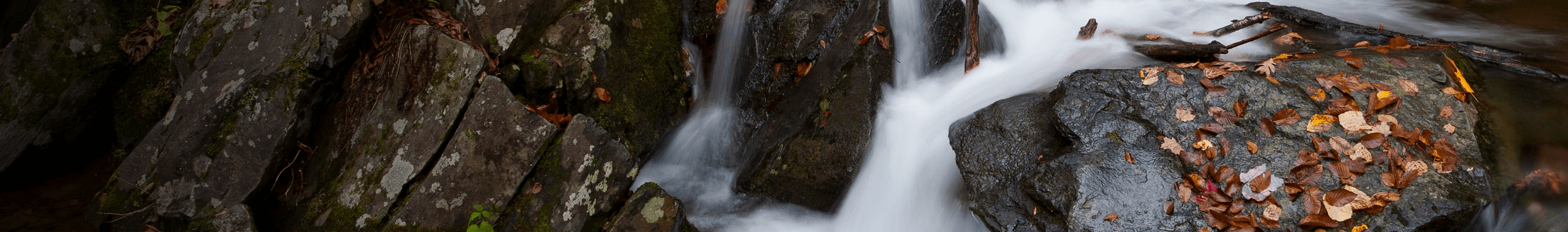 Wasser bahnt sich seinen Weg über sichtbare Steine, ein fließender Moment im Detail. Der Ausschnitt zeigt, wie Wandel, Beständigkeit und Lebendigkeit in der Natur ineinandergreifen.