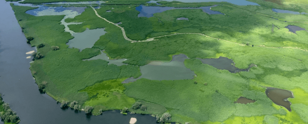 Natürliche Flusslandschaft mit Auen und Mooren, zeigt lebendige Ökosysteme, deren Schutz über Infrastrukturgedanken hinausgeht