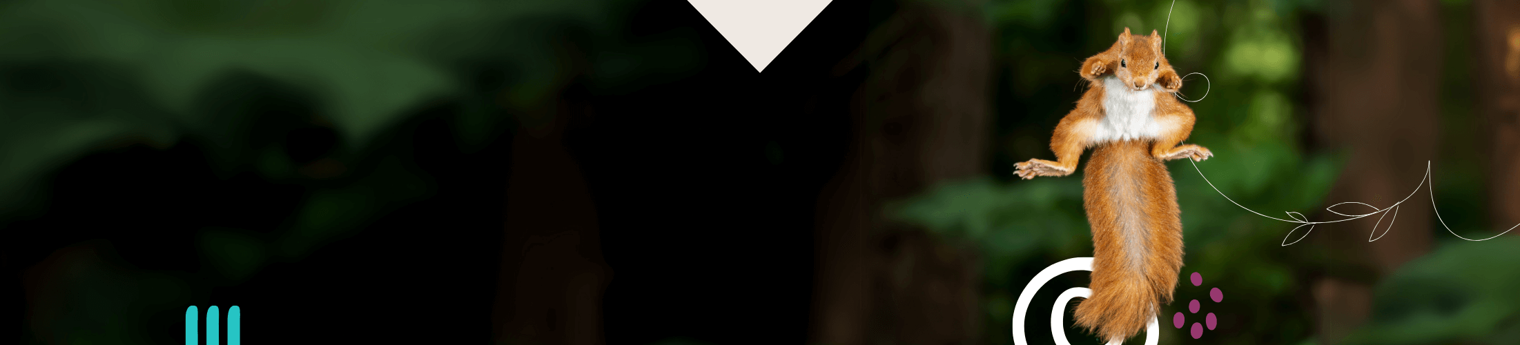 Verspielte Grafik mit einem springenden Eichhörnchen, eingebettet in naturnahe, stilisierte Formen – visuelles Symbol für Bewegung und Aufbruch im Zeichen des ökologischen Wandels
