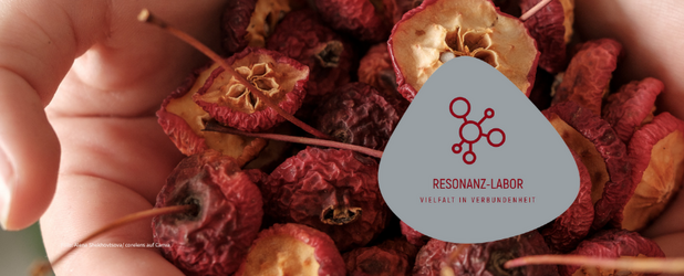 Resonanz-Labor mit Claim, Hintergrund: vertrocknete Äpfel Hintergrund: vertrocknete Äpfel, Anlehnung an das Originalbild des Artikels. Logo des Resonanz-Labors mit Claim „Vielfalt in Verbundenheit“, rote Schrift auf grauem Hintergrund. Foto: Alena Shekhovtsova / corelens auf Canva.