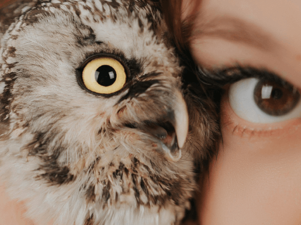 Symbolische Fusion von Mensch und Tierblick als Ausdruck für Naturverbundenheit und die Würde des Lebendigen.