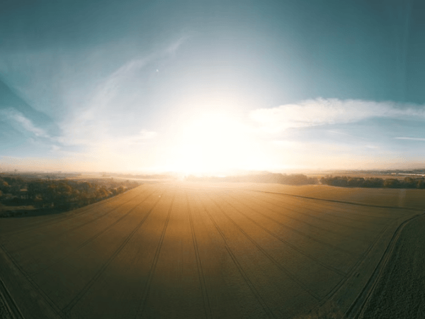Luftaufnahme von Feldern bei Krefeld, Deutschland. Das Bild gehört zu einem Beitrag des Netzwerks Rechte der Natur über die Anerkennung der Natur als Rechtssubjekt. Foto: James Owen / Pexels.
