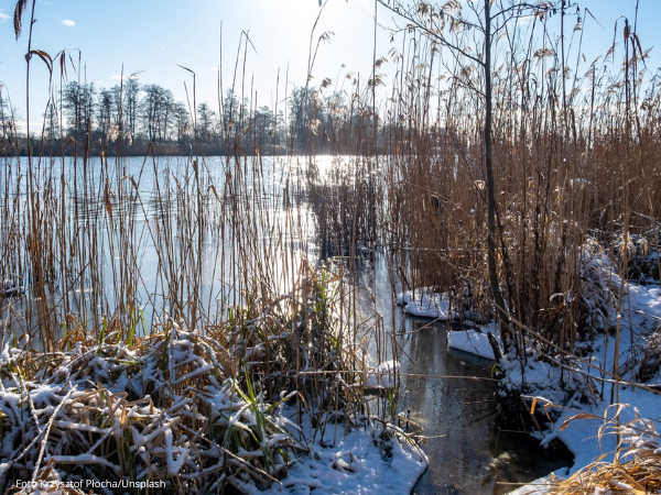 Die Oder in Polen – Ein Fluss im Wandel, der durch die Unterstützung von BürgerInnen seine Rechte fordern möchte.