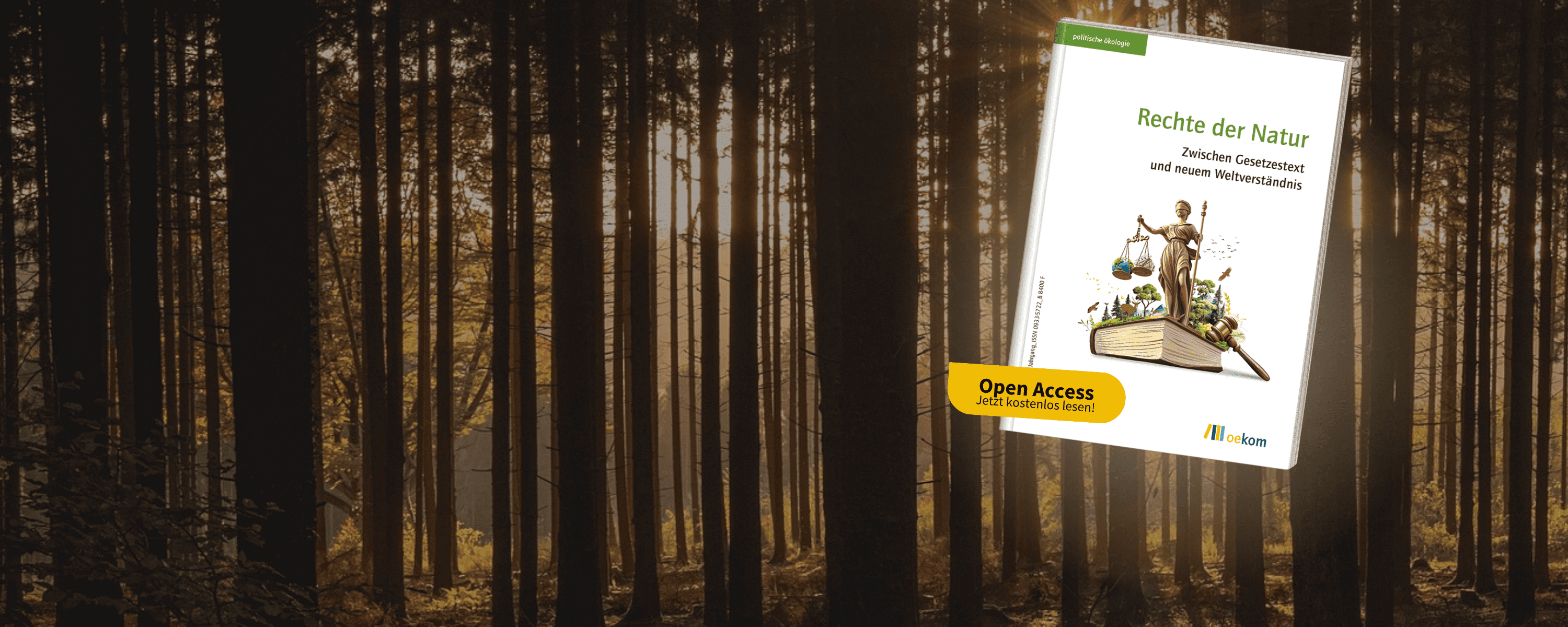 Cover der politischen ökologie „Rechte der Natur – Zwischen Gesetzestext und neuem Weltverständnis (Band 182)“ auf einem Wald im Morgenlicht „Rechte der Natur – Zwischen Gesetzestext und neuem Weltverständnis (Band 182)“ auf einem Wald im Morgenlicht
