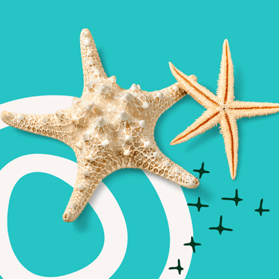 Seesterne freigestellt mit beigem Doppelkreis auf eisvogelblauem Hintergrund