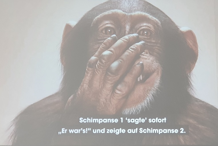 Dieser Affe lügt und kichert darüber 