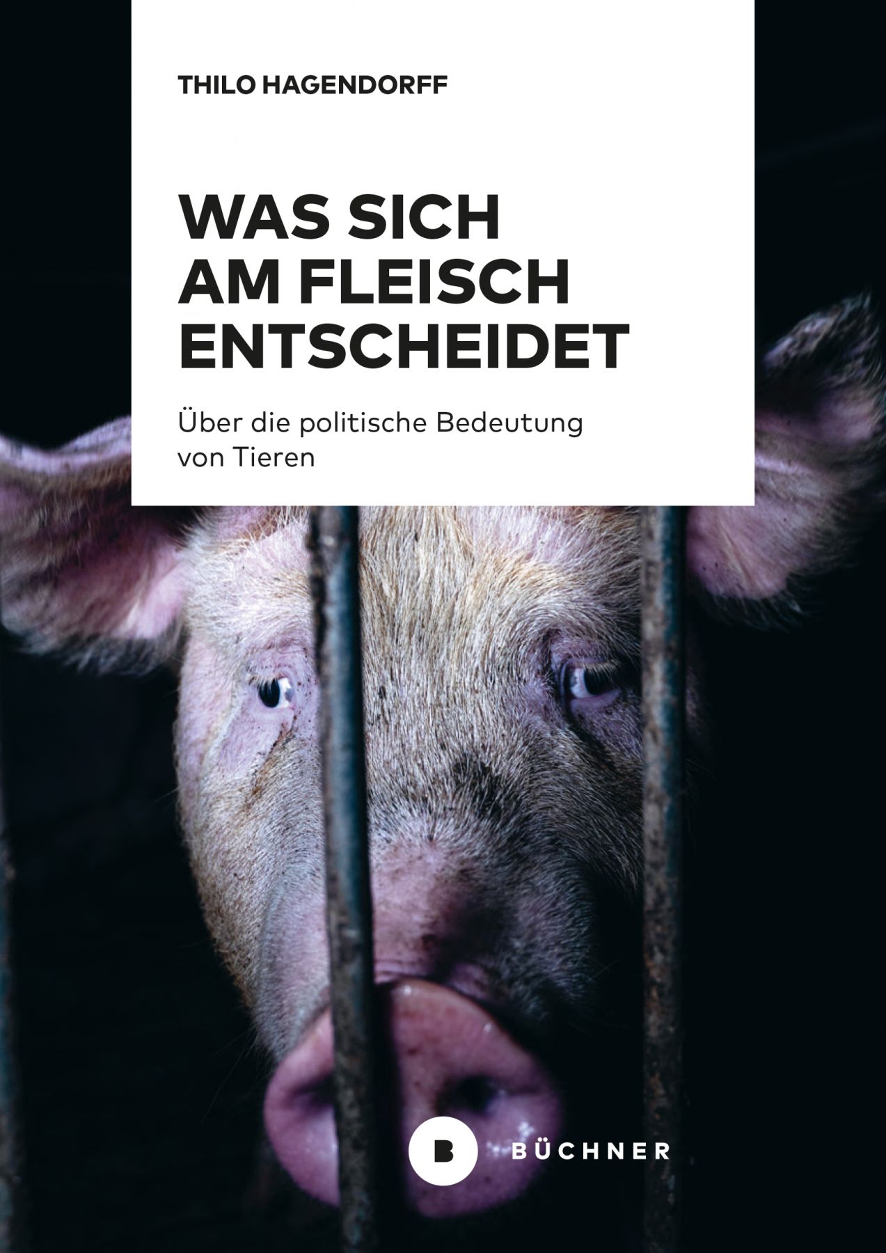Thilo Hagendorff Was sich am Fleisch entscheidet