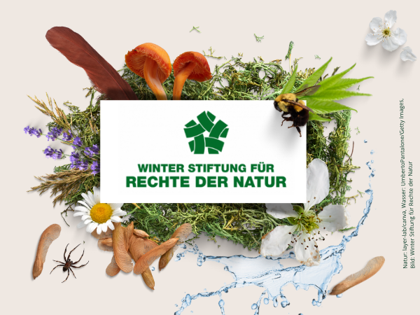2022: Gründung der Winter Stiftung für Rechte der Natur Logo der Stiftung zeigt ein vernetztes, grünes Fünfeck auf weißem Hintergrund. Darum sind Natur-Elemente wie Wasser, Pflanzen und Tiere kreisförmig angeordnet.