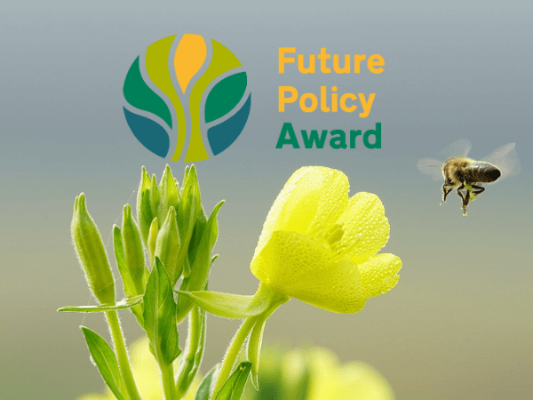 Naturrechte weltweit sichtbar: Highlights des WFPA 2025 Bild: Foto: Jaesung An, Pixabay