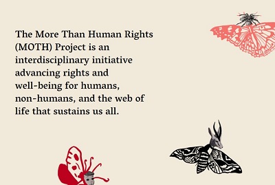 More than Human Rights 